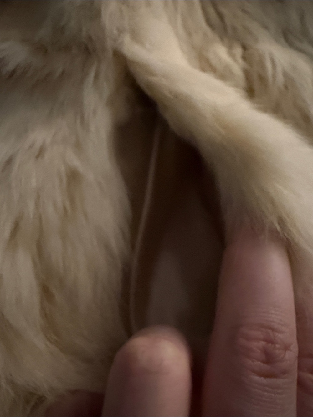 Vintage Rabbit Fur Jacket - Picture 8 of 8